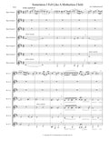 SOMETIMES I FEEL LIKE A MOTHERLESS CHILD (7 bass clarinets)