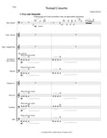 NOMAD CONCERTO (bass clarinet + wind octet)