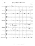 O COME, O COME EMMANUEL (clarinet choir)