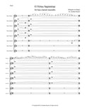 HILDEGARD: O VIRTUS SAPIENTIAE (9-part bass clarinet choir)