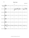 SLOW LORIS (7-part bass clarinet choir with optional solo clarinet)
