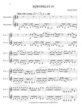 SQWONKLETS (bass clarinet duet)