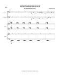 SQWONKZOFORUS REX (2 bass clarinets, piano 4-hands)