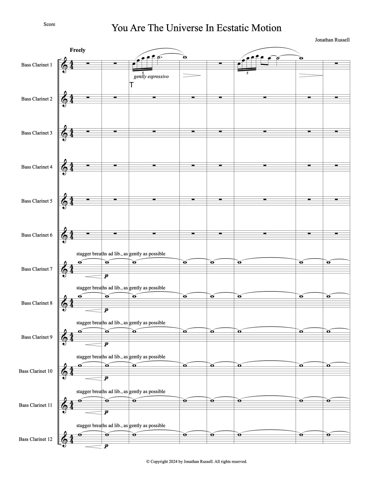 YOU ARE THE UNIVERSE IN ECSTATIC MOTION (12 bass clarinets)