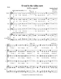 O COOL IS THE VALLEY NOW (choir)