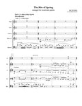 STRAVINSKY: THE RITE OF SPRING (woodwind quintet)