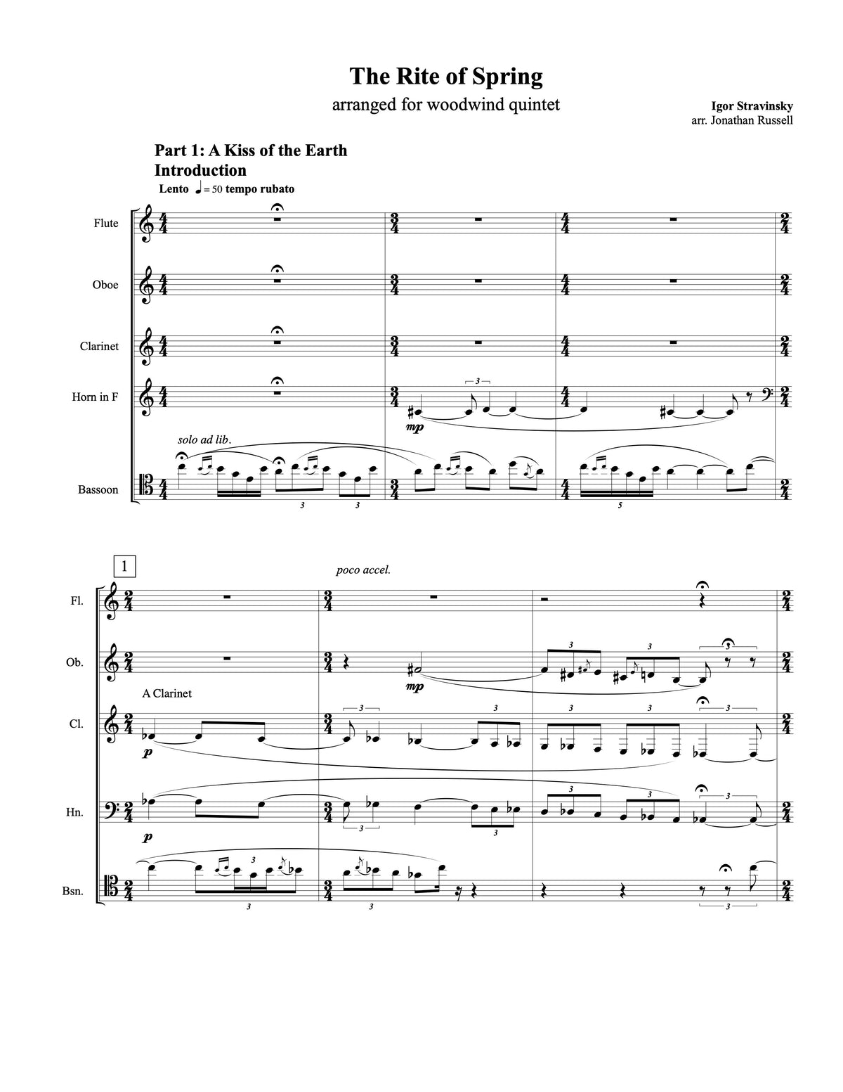 STRAVINSKY: THE RITE OF SPRING (woodwind quintet)