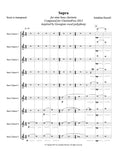 SUPRA (9 bass clarinets)