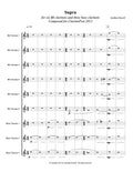 SUPRA (6 Bb clarinets, 3 bass clarinets)