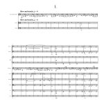 Still Here: clarinet and orchestra version